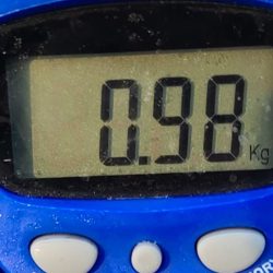 釣れない雰囲気の中