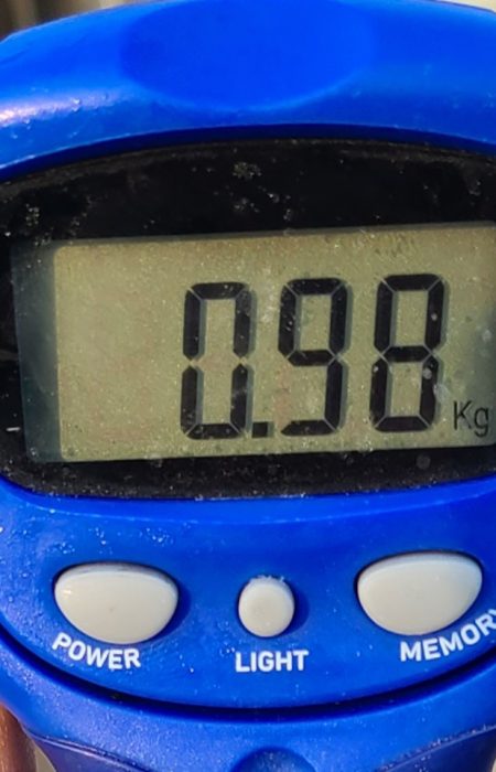 釣れない雰囲気の中