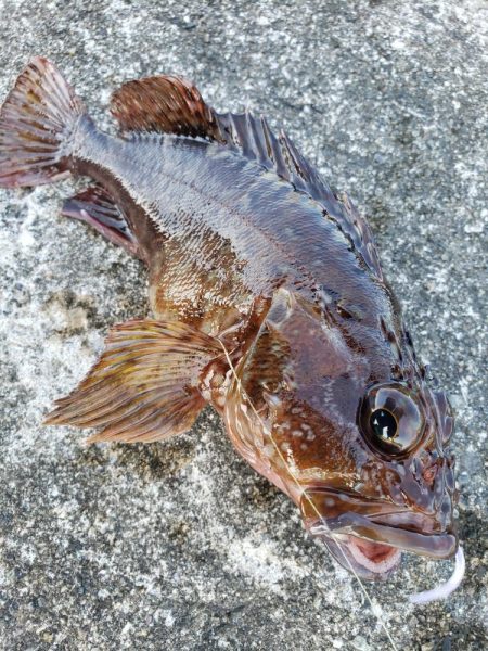 朝練からの穴練