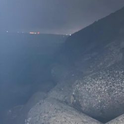 やっと来ました