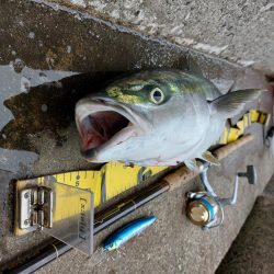 プチsalt water game