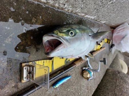 プチsalt water game