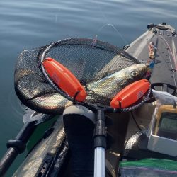 カヤックフィッシング