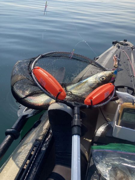 カヤックフィッシング