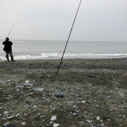 サバ！久しぶり！