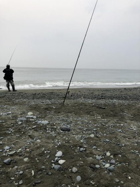 サバ！久しぶり！