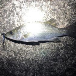 1時間の時間で！