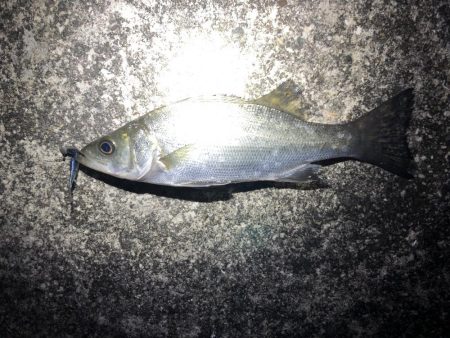 1時間の時間で！