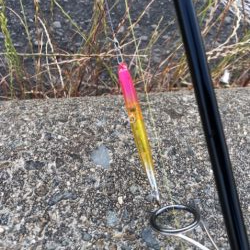 バチ抜けシーバス