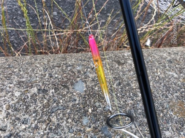 バチ抜けシーバス