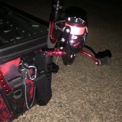 いつも時合いは突然にw。