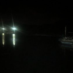 まさかの真鯛品切れ