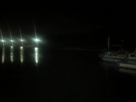 まさかの真鯛品切れ