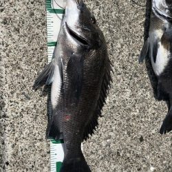 ヨットハーバー冲