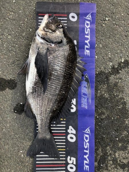 姫路爆釣！（イチノ兄弟）