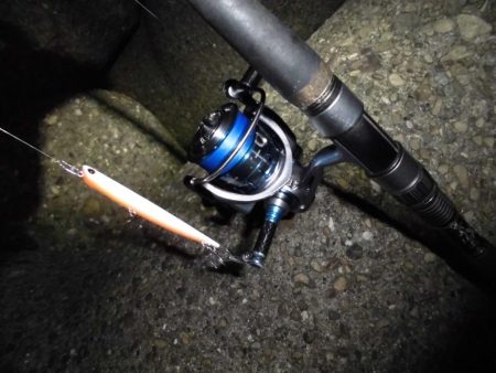 ボラだらけ…。