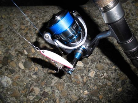 バチパターン不発