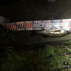 4回通って釣れました！