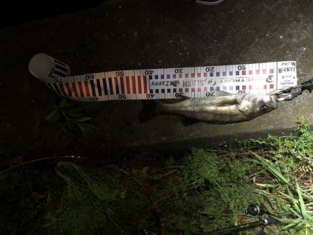 4回通って釣れました！