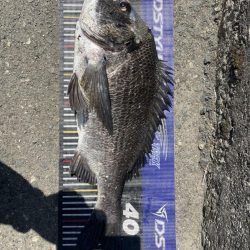 イチノ兄弟、釣果！