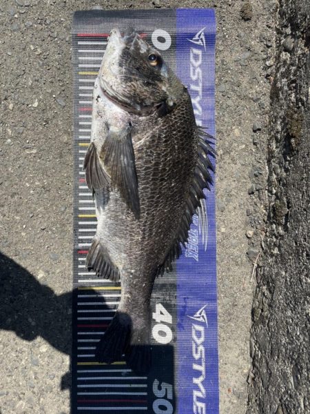 イチノ兄弟、釣果！