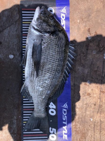 イチノ兄弟、釣果!