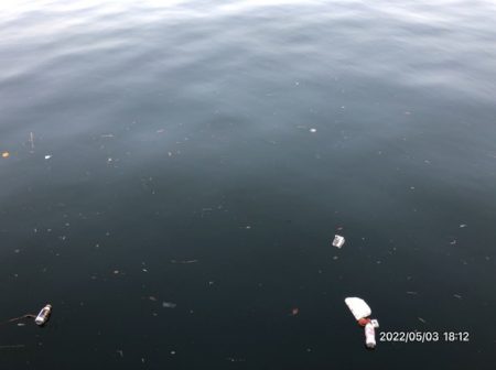 バチ抜けシーバス