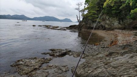 鯉川でのキス釣り