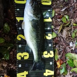 ギル型ポークで2本