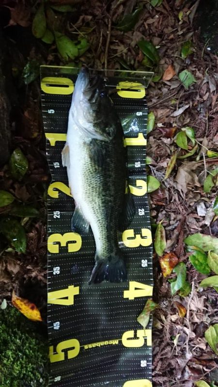 ギル型ポークで2本