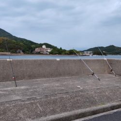 小型だけど・・・