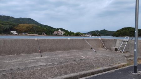 小型だけど・・・