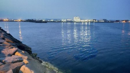 ガシラからのおチヌ様