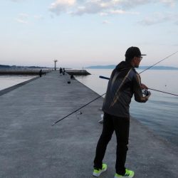 やっと近場のキスの活性が上がり始めました