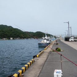 シーズン初の境水道釣行