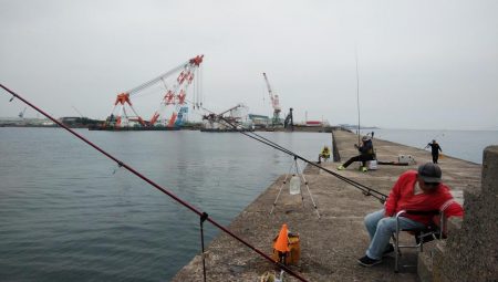 播磨新島のキスが釣れ始めました