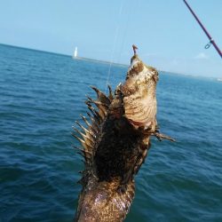 活性が下がった播磨新島のキス