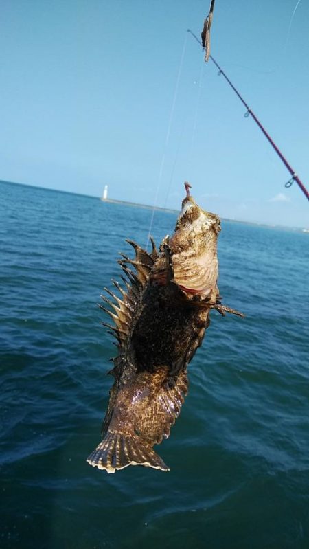 活性が下がった播磨新島のキス