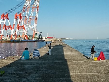 播磨新島のキス釣査
