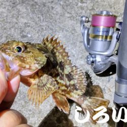 広く探ってきました。