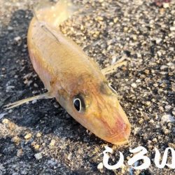 やはり、場所によって釣り方がある。