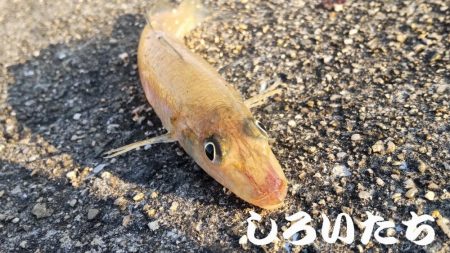 やはり、場所によって釣り方がある。