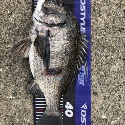 イチノ兄弟、釣果！