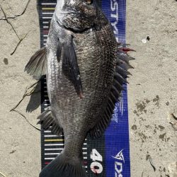 イチノ兄弟、釣果!