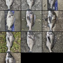 イチノ兄弟、釣果!