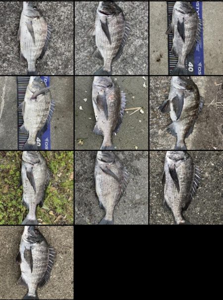 イチノ兄弟、釣果!