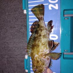 おさえのフロート