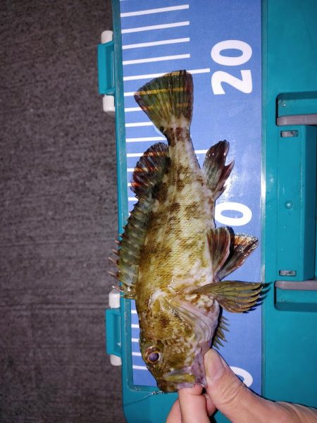 おさえのフロート