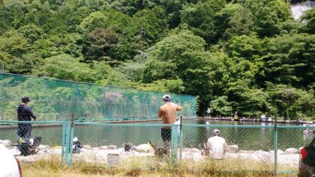 千早川マス釣り場でエリアフィッシング