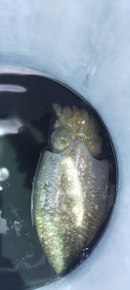 最後にラッシュ